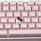 KeycapGuru Squid Sushi Artisan Keycap